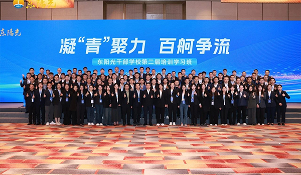 凝“青”聚力，百舸争流 | 开云干部学校2024年第二届培训学习班圆满结束